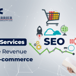 E-commerce SEO Services India | eCommerce SEO Agency India